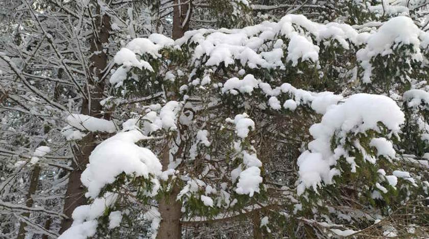 Приметы на 11 февраля: что нельзя делать в день святого Лаврентия