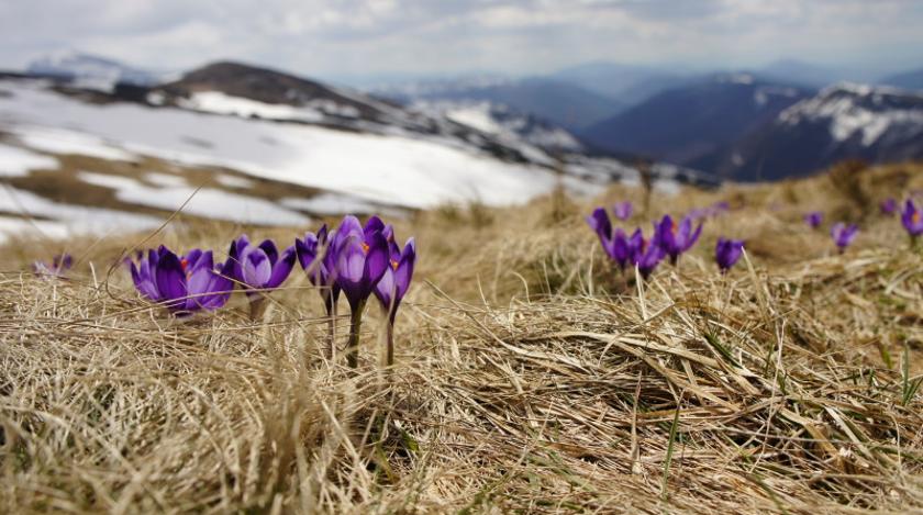 Приметы на 27 марта: что нельзя делать в Венедиктов день