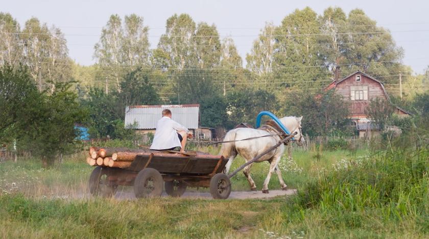 Приметы на 29 марта: что нельзя делать в Лесное ухоженье